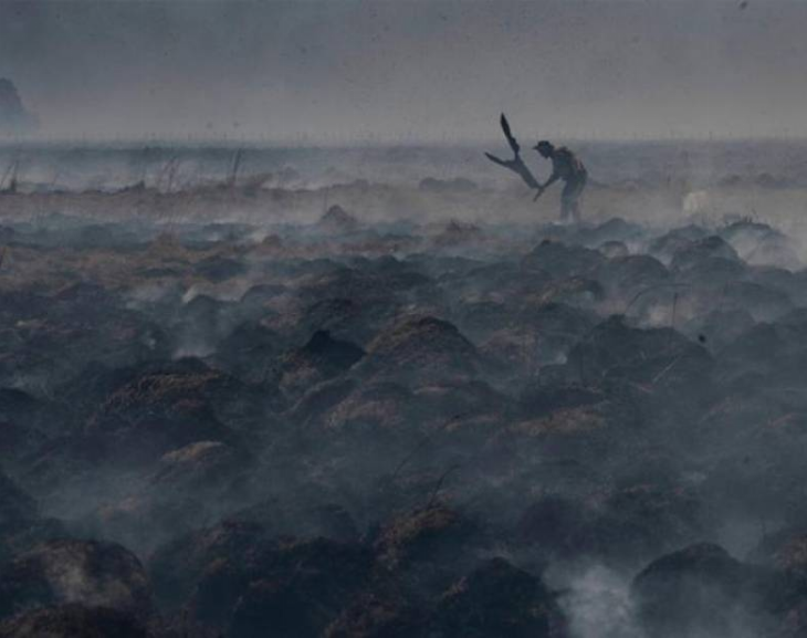Incendios en Corrientes: disminuyeron los focos en cuatro localidades tras la llegada de la lluvia