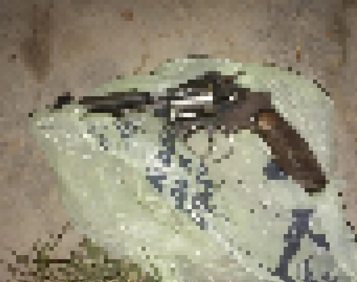 Un detenido y un arma secuestrada tras disparos en Santa Lucía