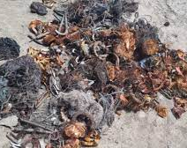 Incautaron casi 90 kg de cobre en Rawson 