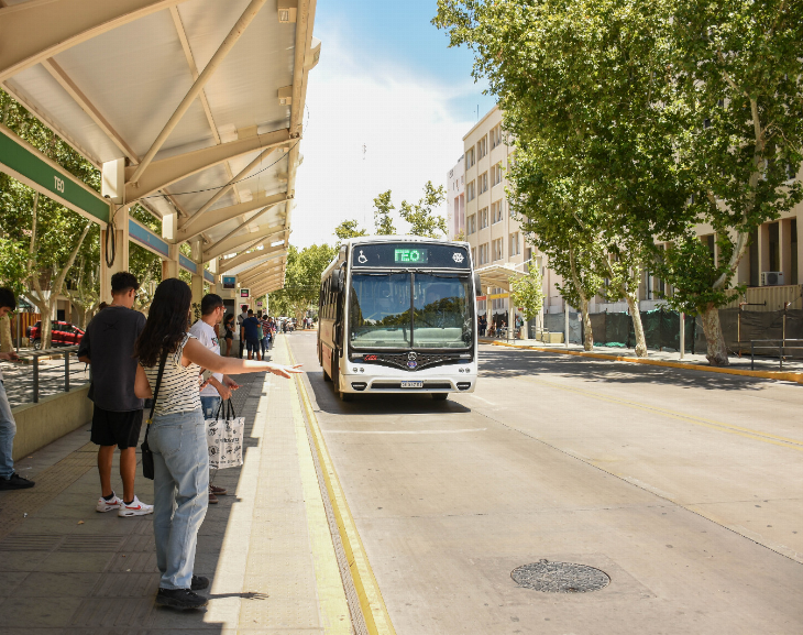 Estas son las líneas que llegan a la sede de la Dirección de Discapacidad en Santa Lucía