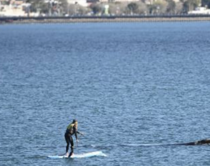  Una mujer en una tabla ahuyentó a una ballena con su cría en Puerto Madryn