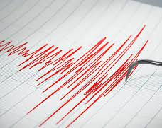 Un temblor ocurrido en la provincia sacudió todo el Gran San Juan