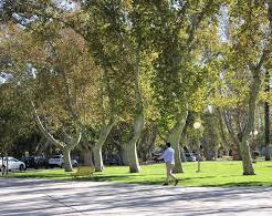 Un domingo de Pascuas para disfrutar al aire libre 