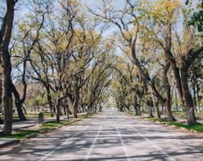 Este domingo se elevará la temperatura en San Juan 