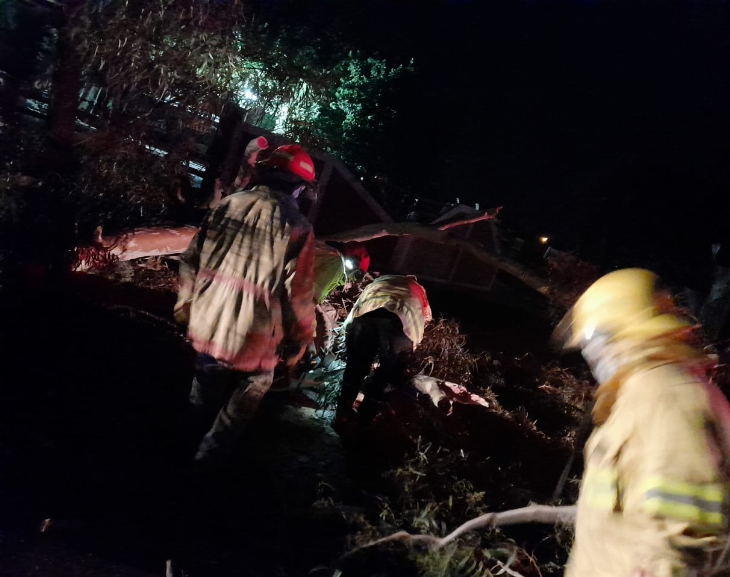 El viento derribó un árbol y tendido eléctrico en Pocito