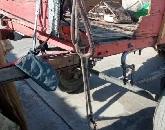 Nefasto: robaba en carretela junto a un nene de 9 años y fue detenido 
