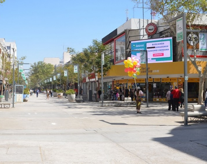 Fin de semana largo: cómo funcionarán los servicios este viernes