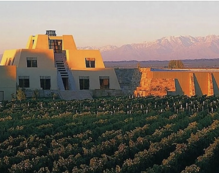 Mendoza: un turista brasileño quedó en terapia intensiva tras caer desde la terraza de una bodega
