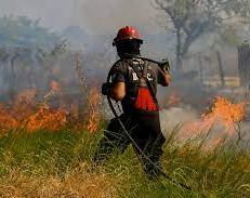 Incendios forestales en Corrientes: San Juan enviará asistencia 