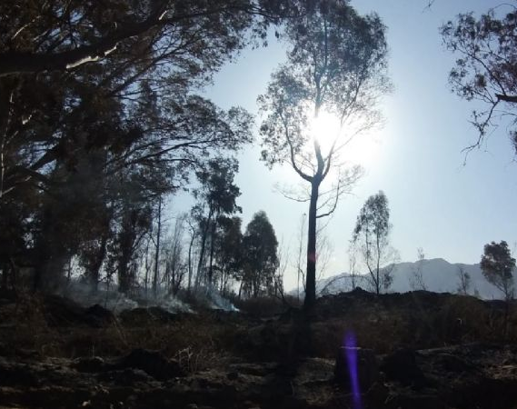Trabajan para prevenir la re activación de un foco de incendio en el Parque Sarmiento