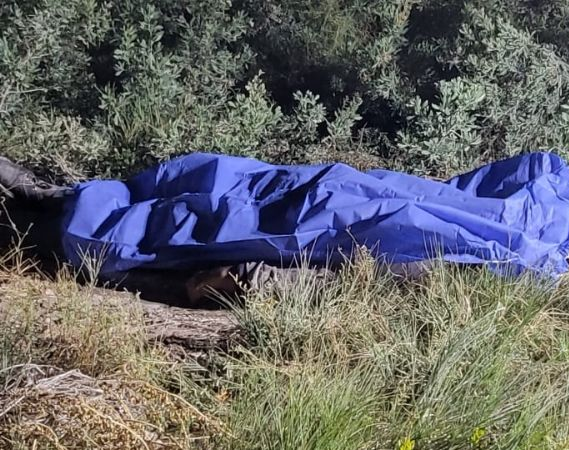 Crimen del finquero: dos familiares del anciano quedaron detenidos
