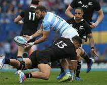 Los Pumas cayeron por 53 a 3 contra los implacables All Blacks