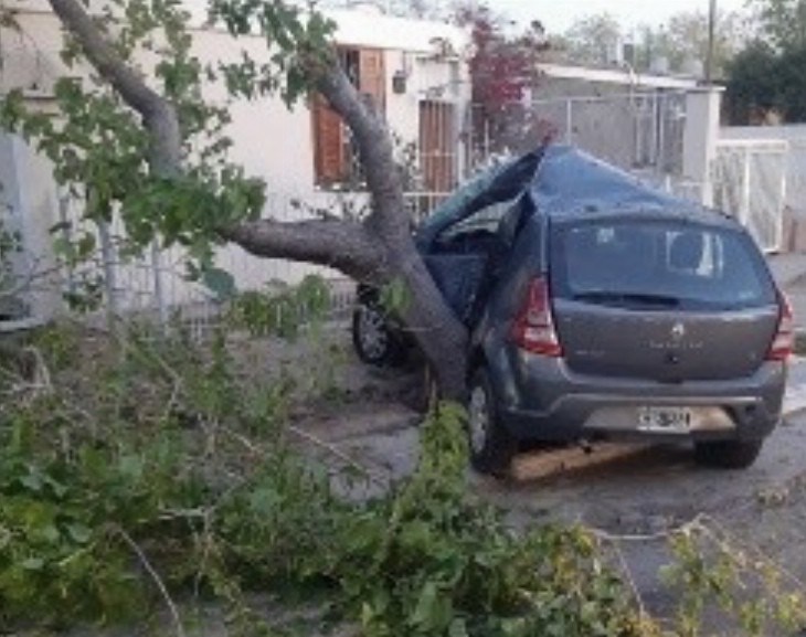 Un hombre perdió el control de su auto, chocó con un árbol y murió en el acto