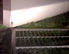 Un portón cayó encima de un pequeño 