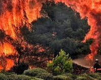 Unos 40 incendios devastan  Grecia y miles de personas fueron evacuadas 