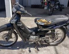 Su mamá devolvió la moto que había robado en una escuela