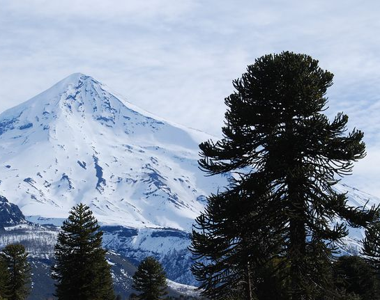 En una insólita vuelta atrás, el volcán Lanín ya no es sitio sagrado mapuche