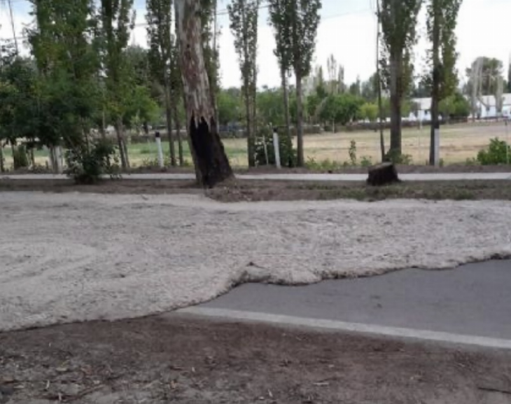 En Barreal suspendieron una noche de la Fiesta de los Enamorados por la creciente 