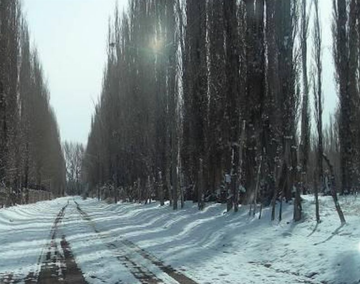 Una ola polar viene con importantes nevadas a la Cordillera 