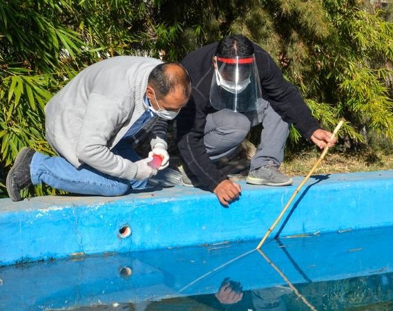 Solicitan eliminar posibles criaderos de mosquitos por la alarma de aparición de dengue 