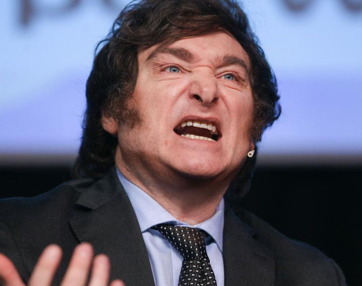 Milei fue el candidato con más votos en San Juan