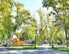 Domingo de locos: la temperatura se elevará pero luego habrá viento y descenderá 