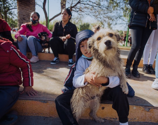 Programa Acompañame: el barrio Foeva recibirá el quirófano de esterilización de mascotas