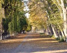Otoño que se parece al verano: ¿Hasta cuándo durará?