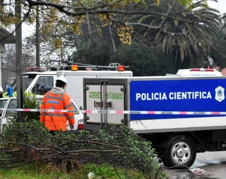 Asesinaron de un tiro por la espalda a una joven que atendía un kiosco en Mar del Plata: "La mataron por 50 pesos"