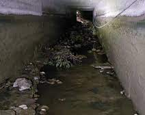 Cayeron a un canal y fueron encontrados muertos 