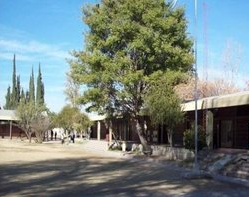 Una maestra murió en el acto de inicio de clases 