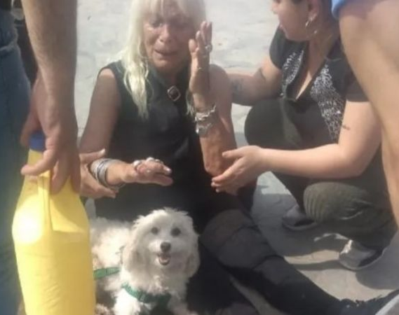 Casi muere: un pitbull atacó ferozmente a una mujer en una plaza de Capital