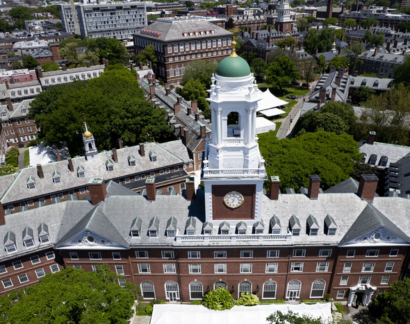 Estados Unidos: Trump ordenó cancelar todos los contratos federales con Harvard