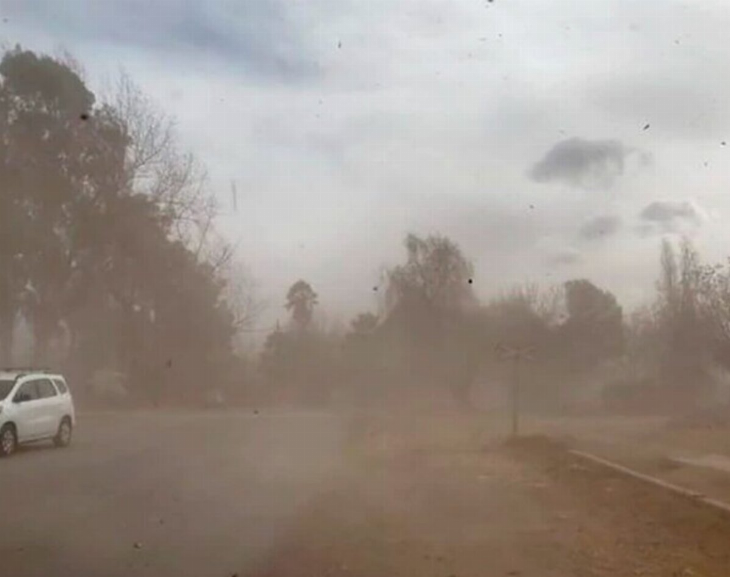 Rige un alerta meteorológica por viento Zonda