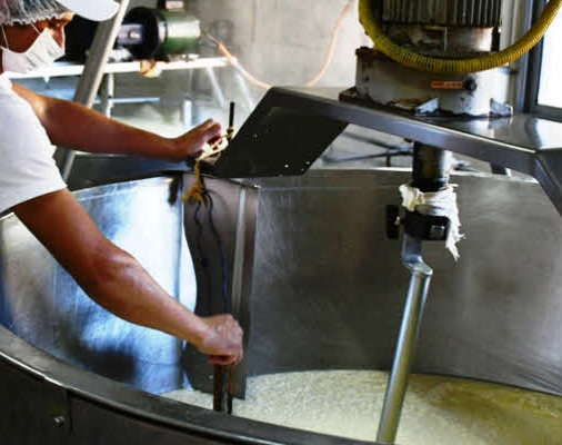 Podría subir el precio de la leche por el aumento de los insumos