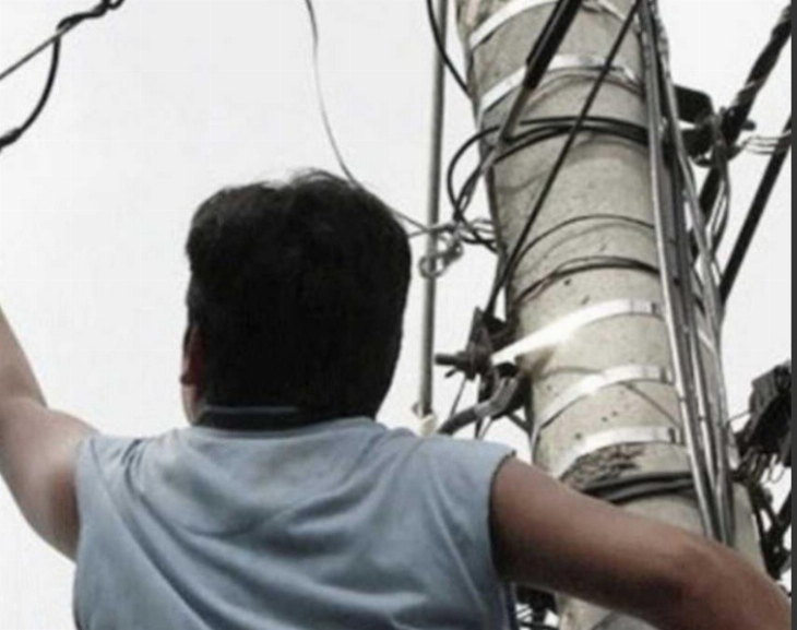 Cayó de un árbol mientras intentaba robar cables 