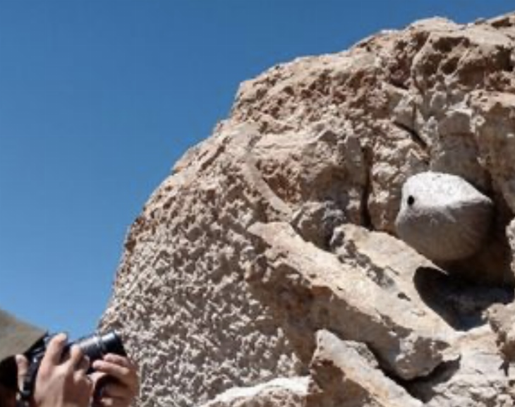 Hallaron restos fósiles y plantas de origen marino en una localidad de Pocito