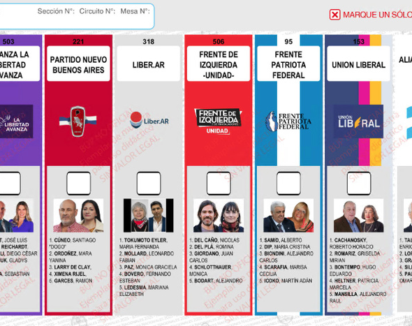 Los libertarios irán a las urnas con la cara de Espert en la lista