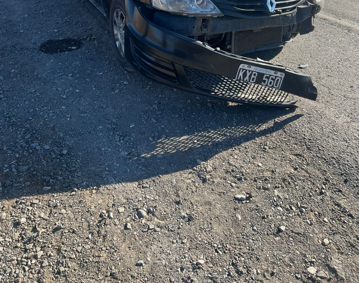 Tragedia en la Ruta 40: Muere una persona tras embestir a un caballo