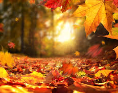 Otoño con máximas por encima de los 30 grados
