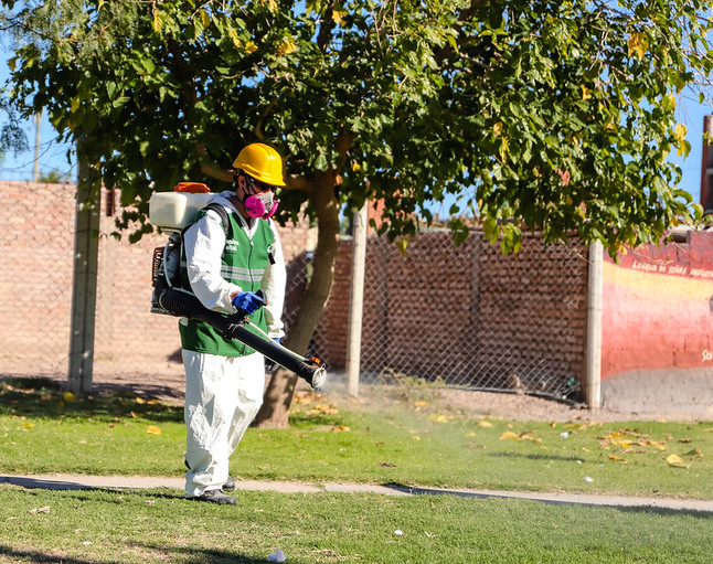Vigilados, aislados y con un cerco de 9 cuadras: así pasan sus días los tres contagiados con dengue 