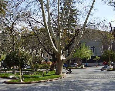 Una jornada ideal para celebrar el Día de las Infancias 