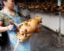 Corea del Sur prohíbe la venta de perros para el consumo de su carne