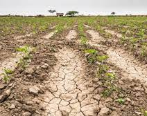 Tras la sequía, Argentina será uno de los países más afectados por fuertes lluvias