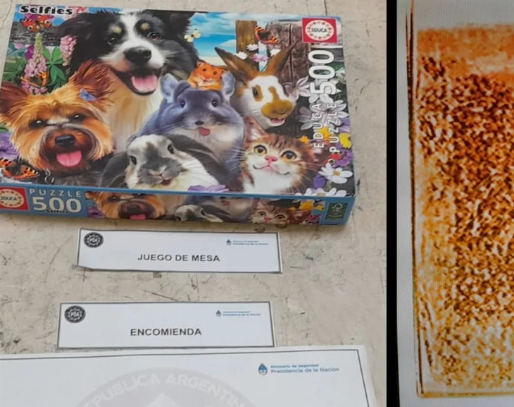 Querían enviar cocaína a la India en cuentos y juegos infantiles: están presos