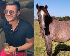 Se emborrachó, compró un caballo por internet y ahora no sabe donde meterlo