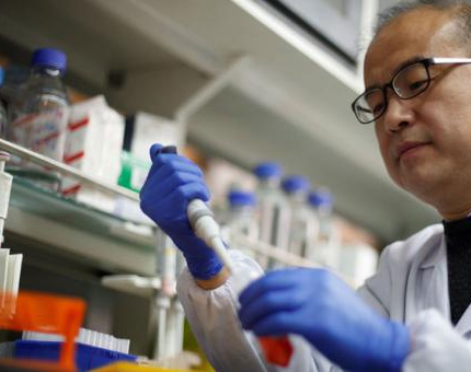 El coronavirus fue creado por científicos chinos que escondieron evidencias, asegura un estudio