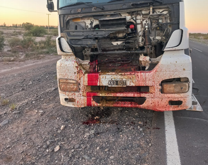 Un camionero embistió a un caballo y luego impactó con un auto 