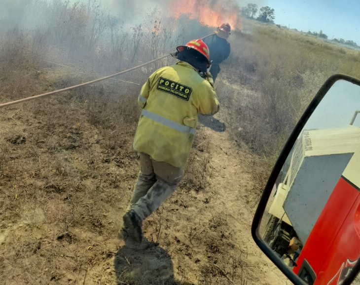 Un gran incendio de pastizales en Carpintería se extendió a viviendas de la zona