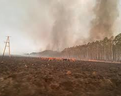 Corrientes: Aseguran que los focos de incendio disminuyeron a solo seis
